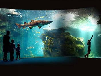 Aquarium de la Rochelle